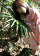 Shirouto Nana - Fotosbiaca Ebony Asstwerk P8 No.e95593